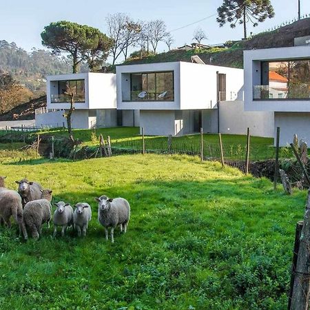 Viana Do Castelo - Amonde Village Casa P - Conforto Qualidade Natureza エクステリア 写真