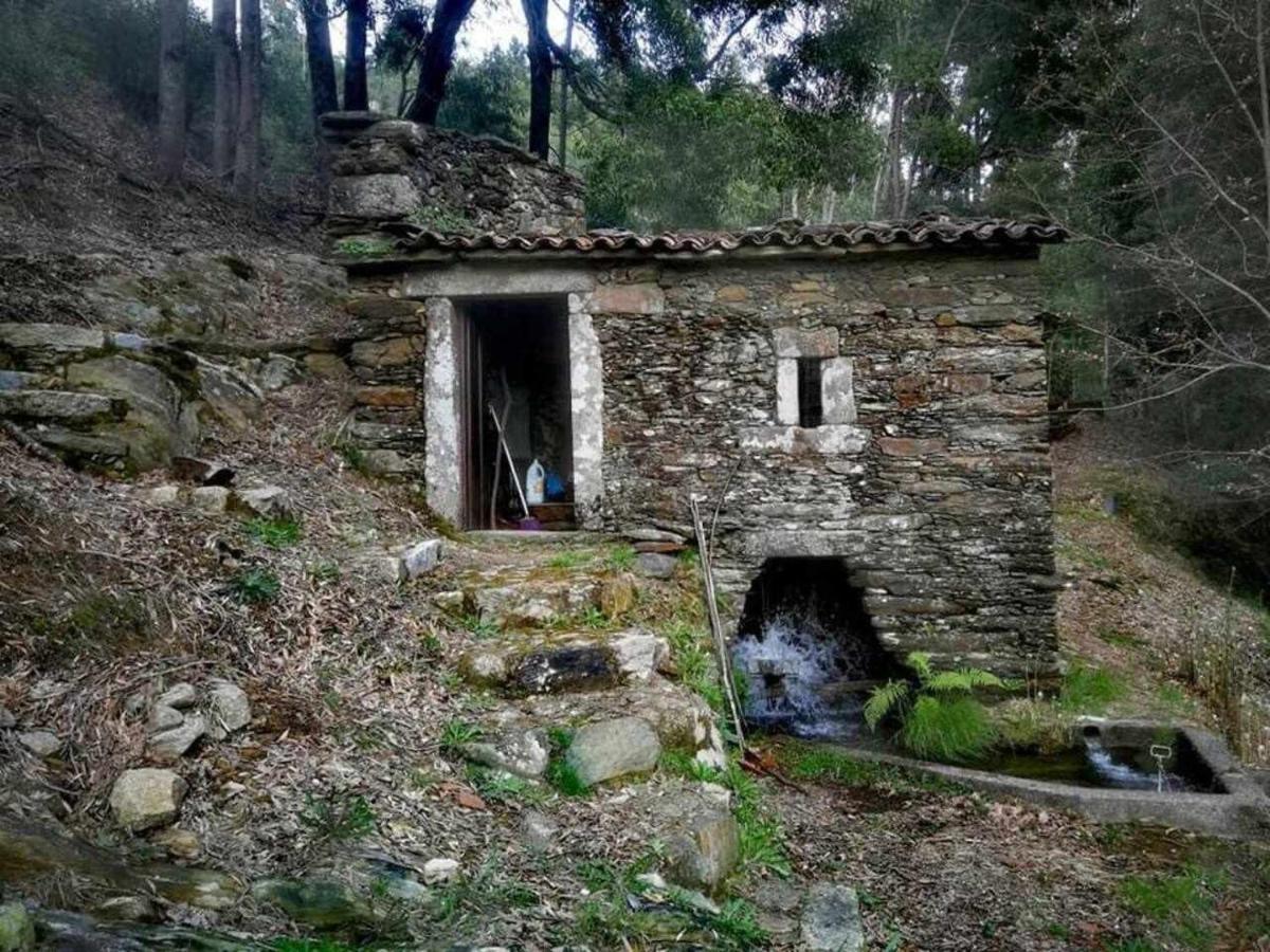 Viana Do Castelo - Amonde Village Casa P - Conforto Qualidade Natureza エクステリア 写真